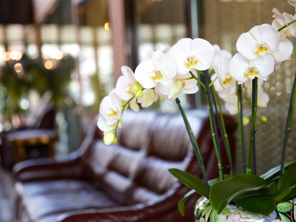 Hotel Garni Geisler 科隆 外观 照片